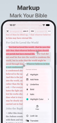Bible - Companion Screenshot 4 of 7