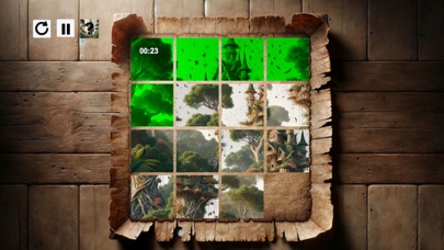 BrainCastles Screenshot
