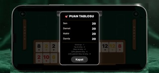 Fast Okey screenshot