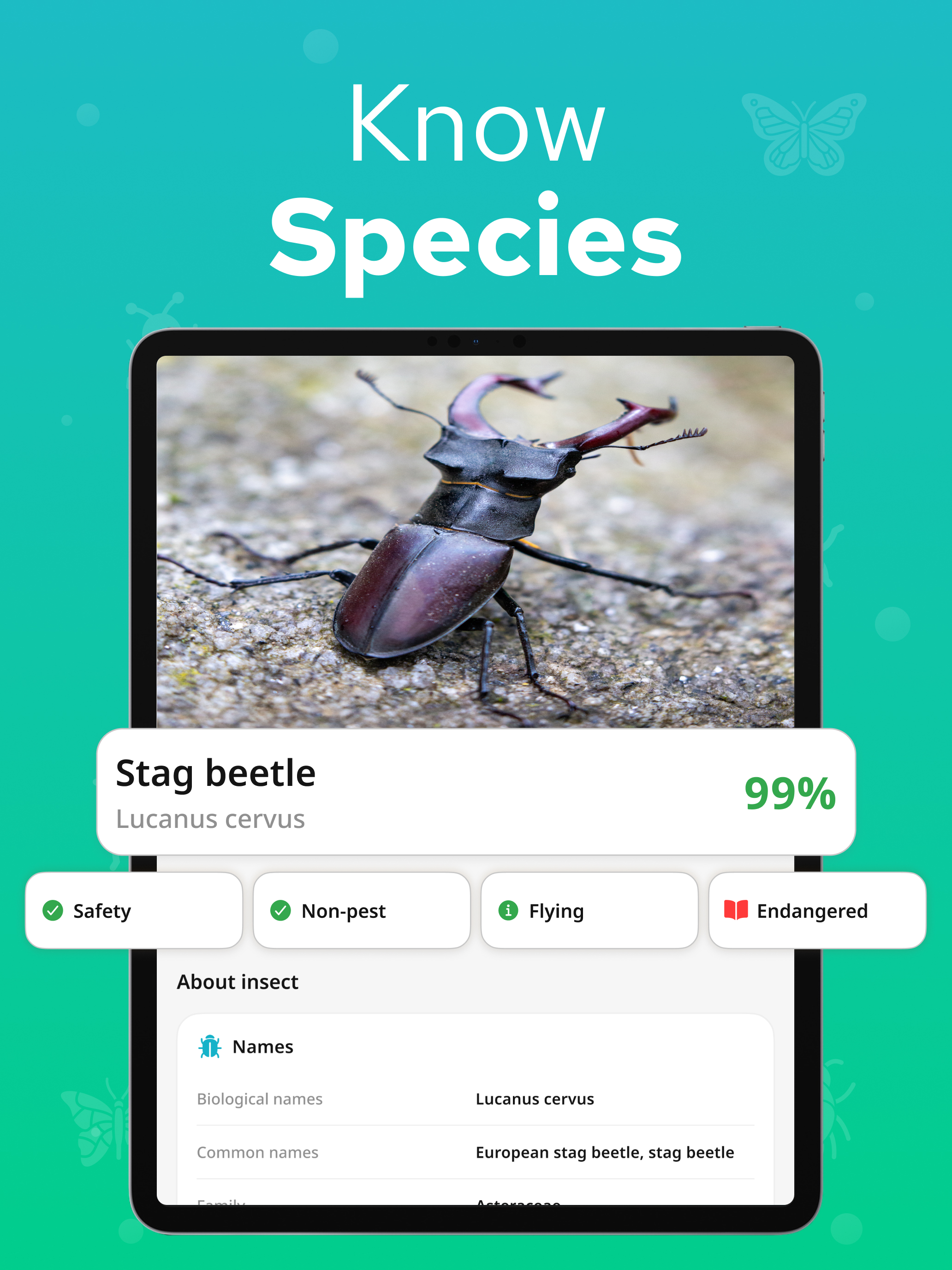 Bug Identifier - Insectium screenshot 10