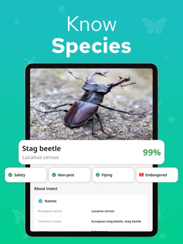 Bug Identifier - Insectium iPad screenshot
