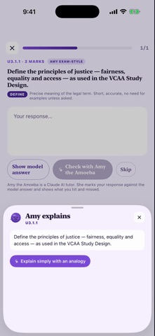 VCE Legal Studies iPhone screenshot