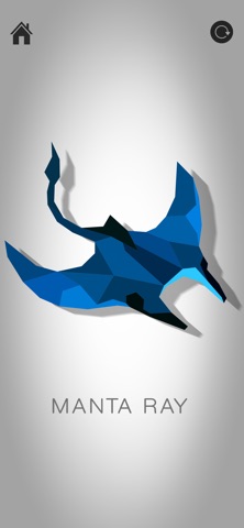 Polygon Puzzle: Color by Shape iPhone screenshot