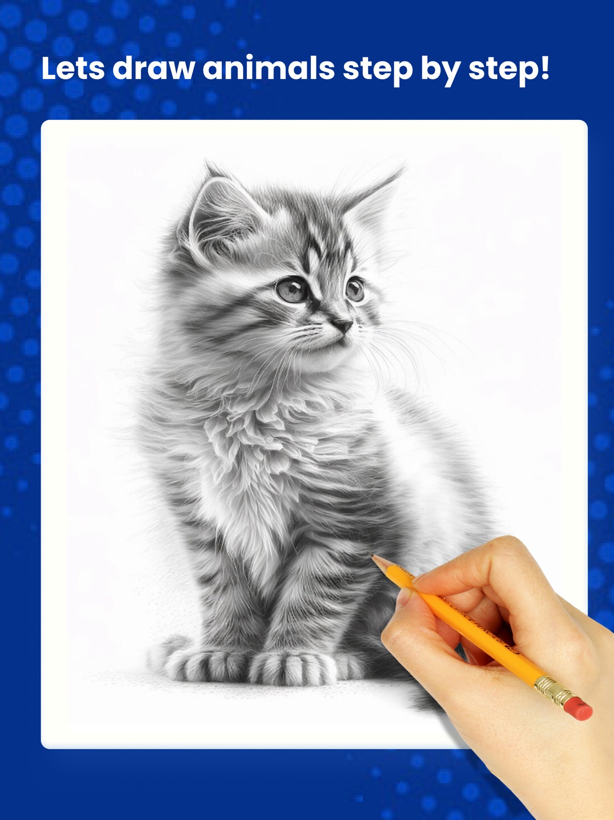 How to Draw Animals by Steps ipad screenshot 1