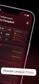 FPL Mini-League Prize Tracker screenshot