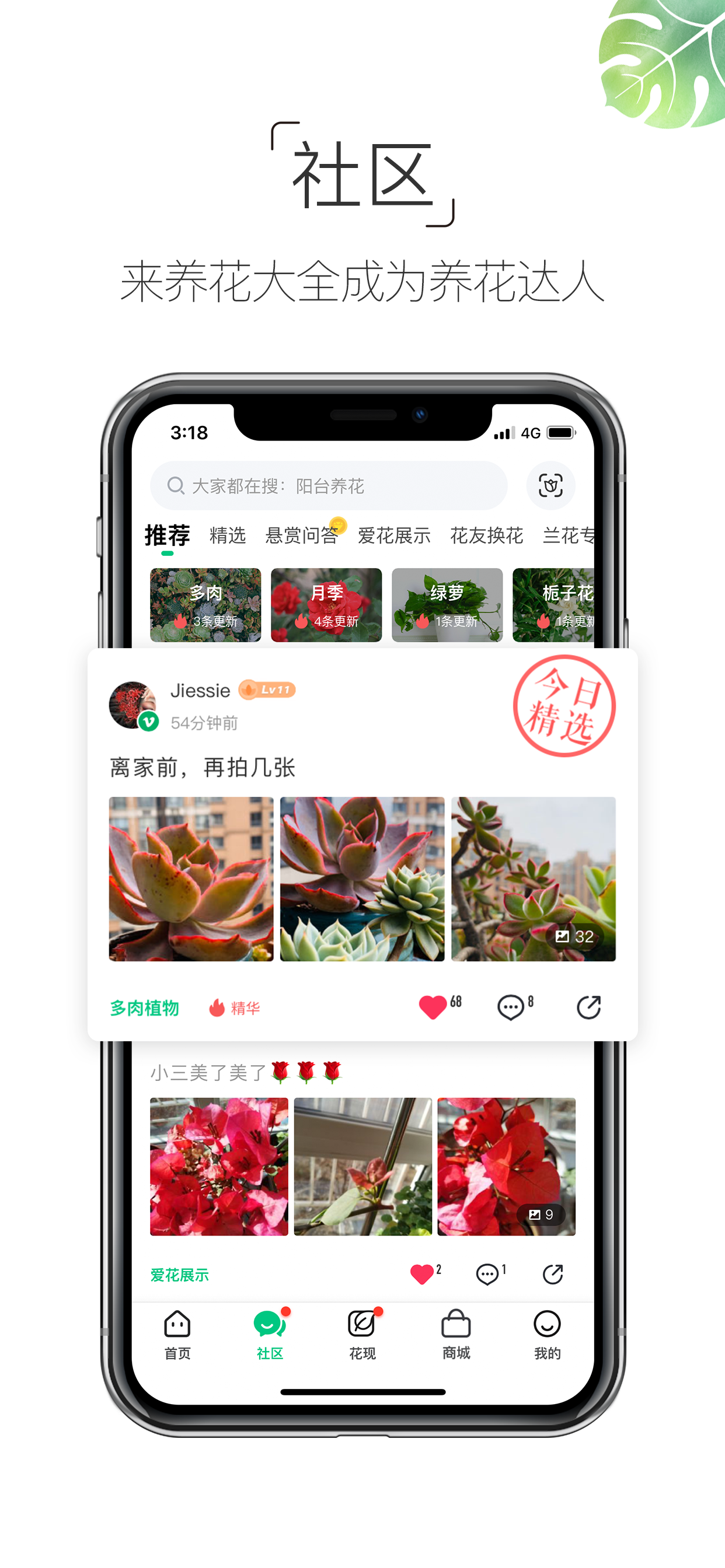 养花大全-养花人的圈子
