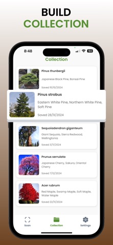 Tree Identifier Pro - ID Scan Screenshot 4 of 5