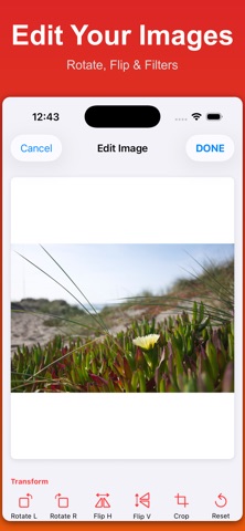 Image to PDF Converter - Pro Screenshot 2 of 10