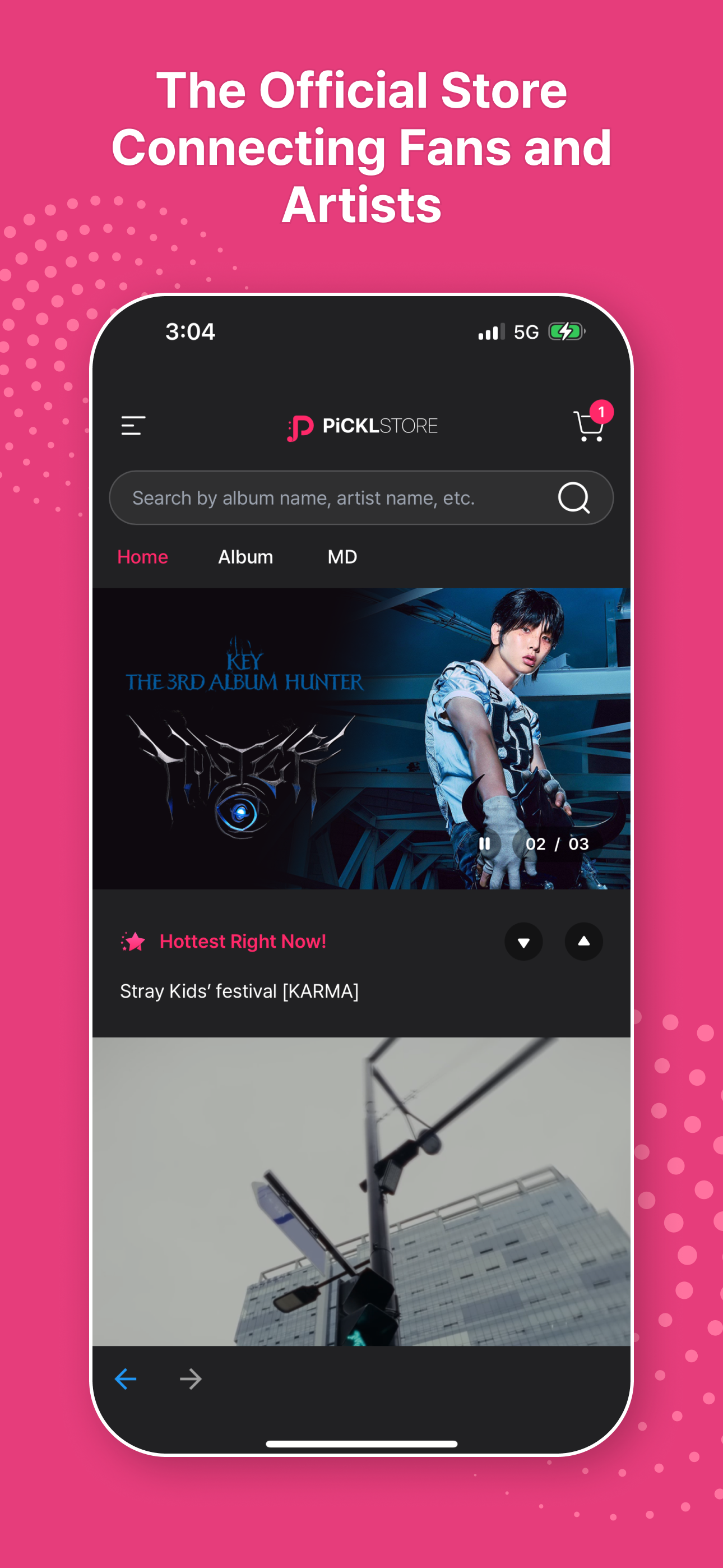 PiCKLSTORE screenshot 2