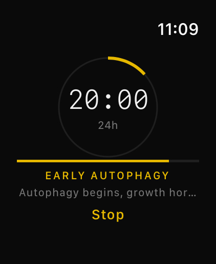 Autophagy Tracker