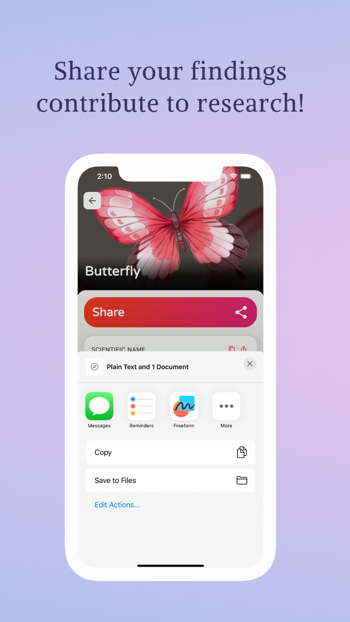 Bug Identifier Spider Scanner