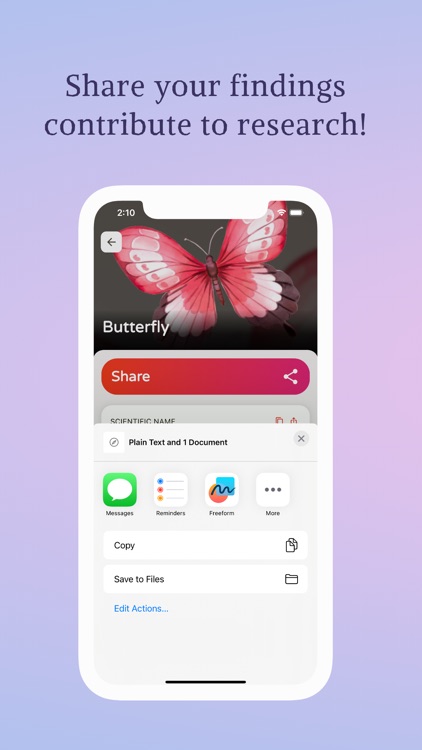 Bug Identifier: Spider Scanner screenshot-3