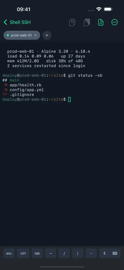 Captura 3 de 6 de Shell SSH