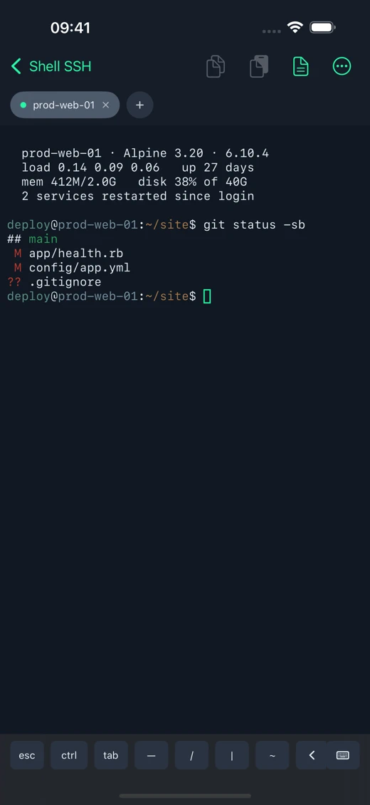 Shell SSH screenshot 3