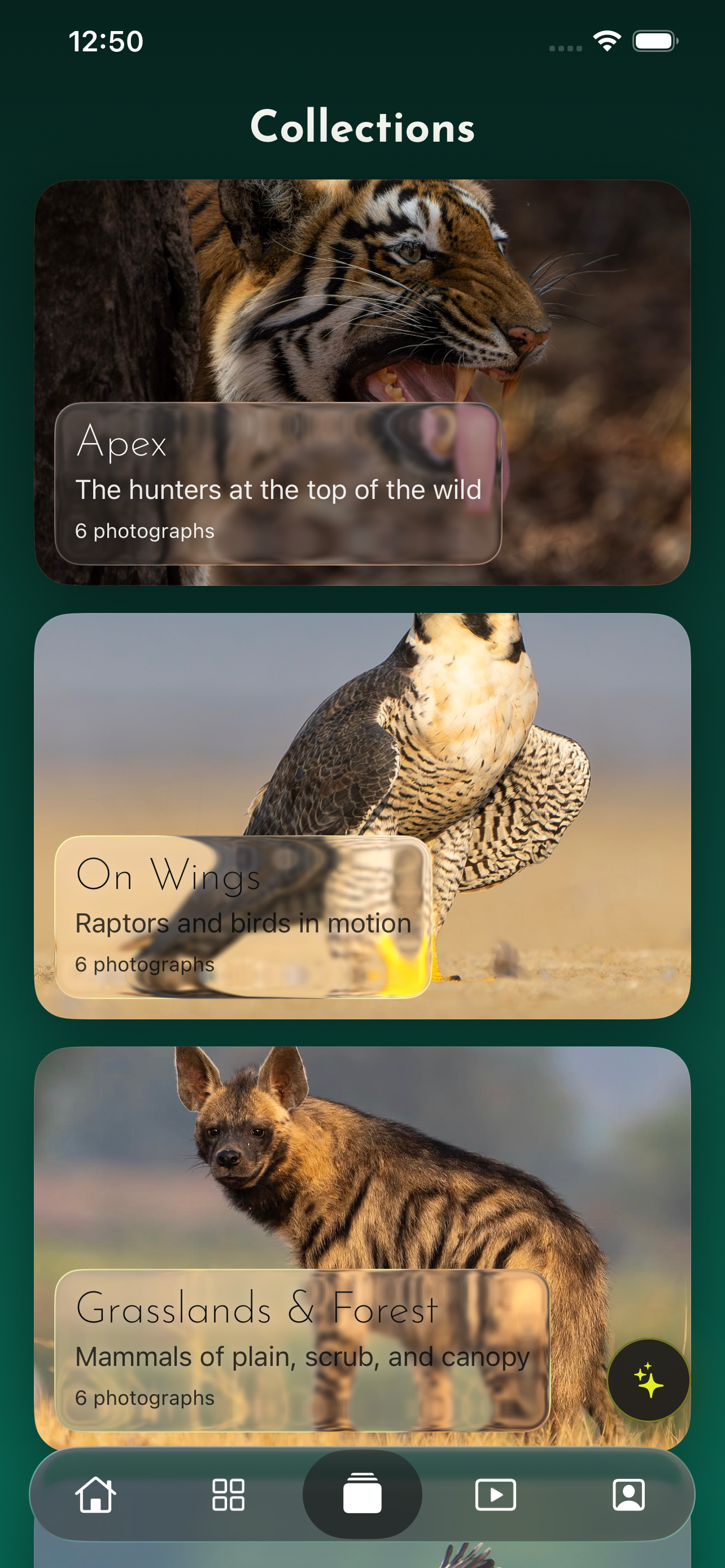 Wild Eye Wanderer screenshot 2