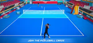 PickleBall 3d screenshot 1
