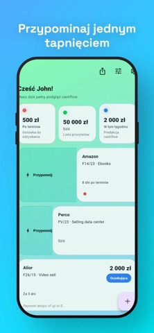 CashPing: Pilnuj płatności screenshot