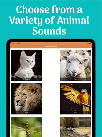 Animal Ringtones & Sounds iPad screenshot