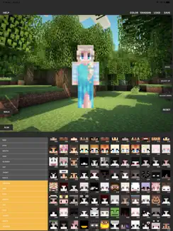 Custom Skin Creator iPad image 1