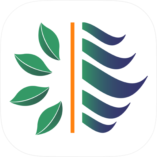 Insight Energy