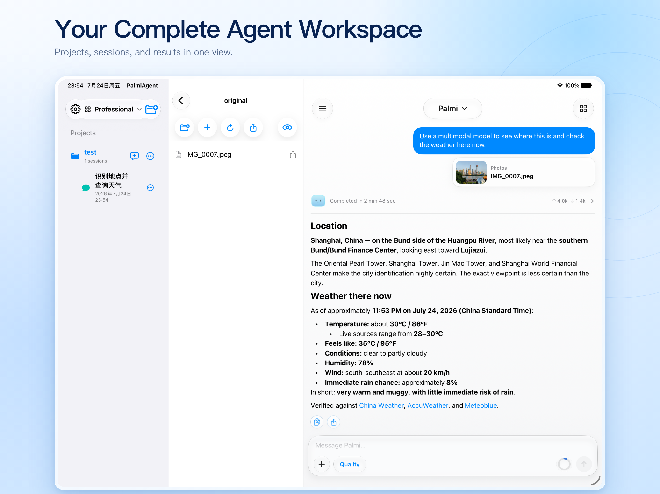 PalmiAgent screenshot 11