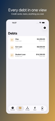 Debt Payoff: Snowball Plan Screenshot 2 of 9