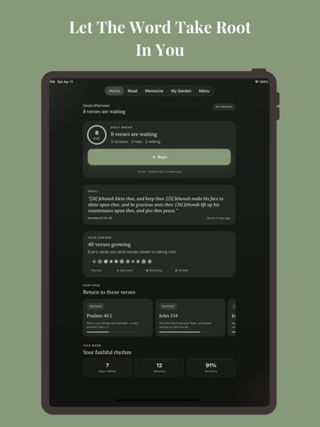 Rooted: Bible Memory Screenshot 7
