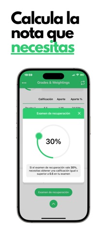 Notas y ponderaciones screenshot