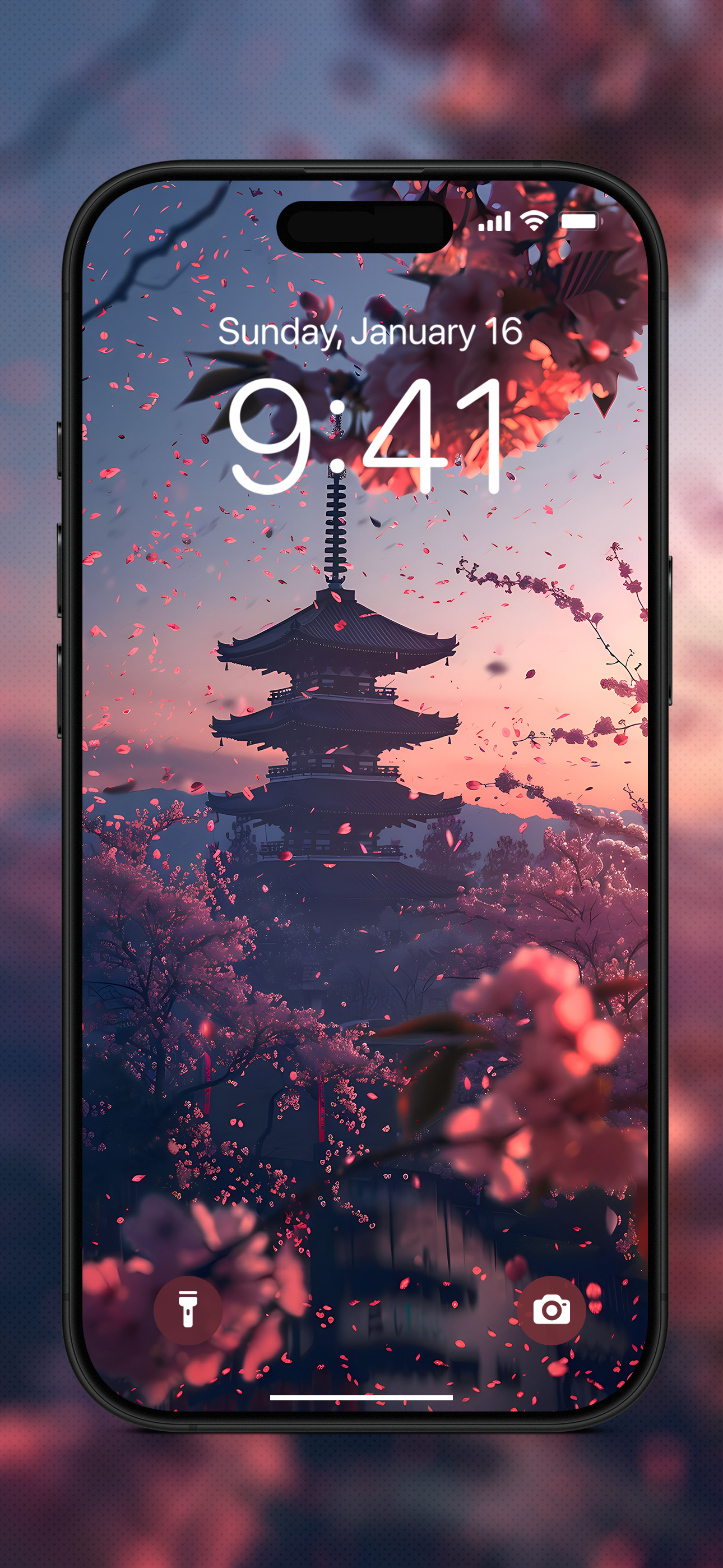 Korean Wallpapers 4K