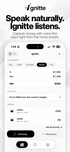 Ignitte: Private AI Accounting screenshot 3
