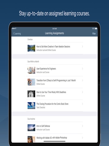 SAP Validated Learning Preview iPad screenshot