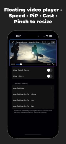 Eagle Browser: AdGuard Screenshot 4 of 6