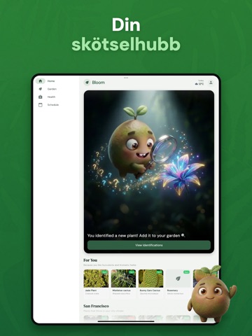 Växtidentifiering: Bloom iPad screenshot 6