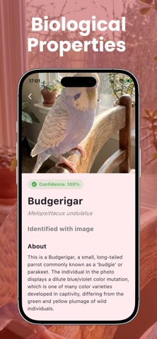Bird Identifier: Call ID iPhone screenshot