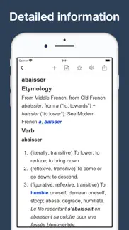 dictionary of french language problems & solutions and troubleshooting guide - 4