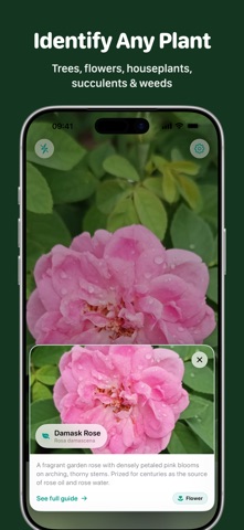 Plantz: Plant, Tree & Weed ID Screenshot 2 of 5
