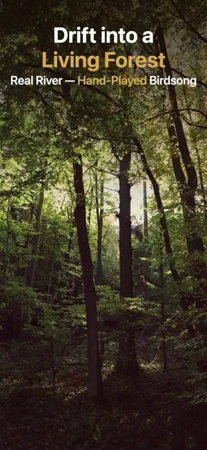 Sound Bath Journeys screenshot 4