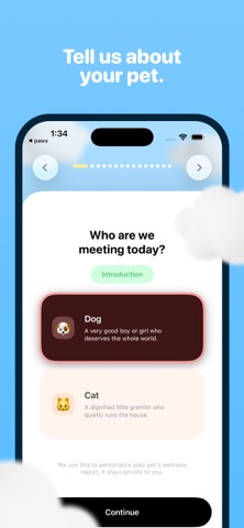 paws: pet wrapped Screenshot 1 of 7