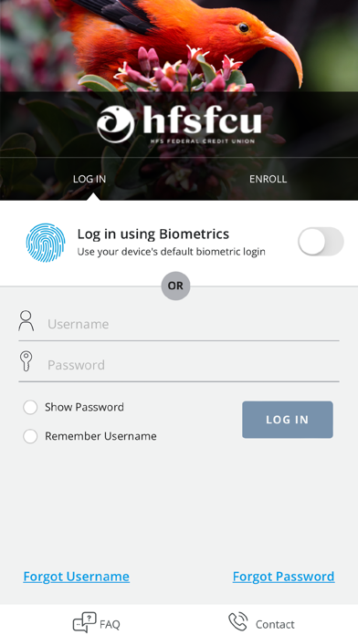 Screenshot #1 pour HFS Cards
