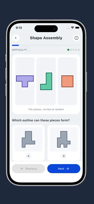 Spatial Reasoning Test screenshot 3