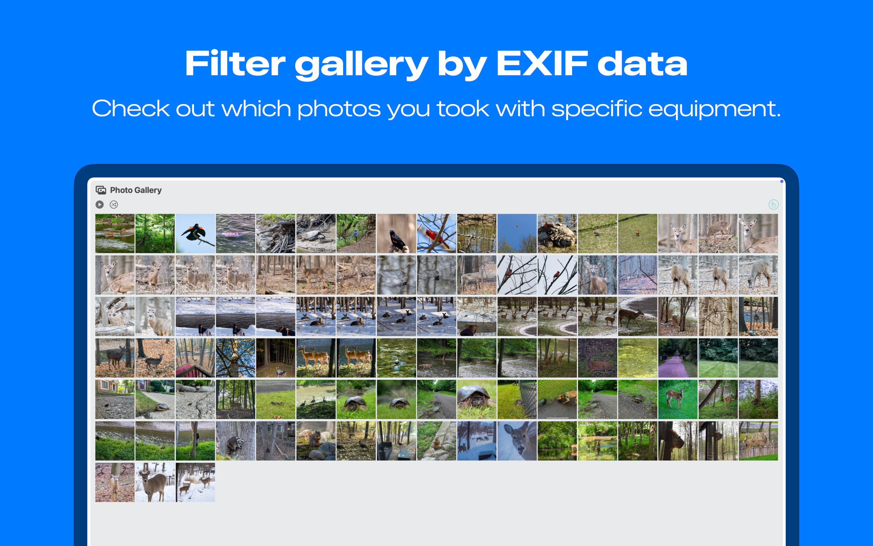 Exif PhotoGraph screenshot 18