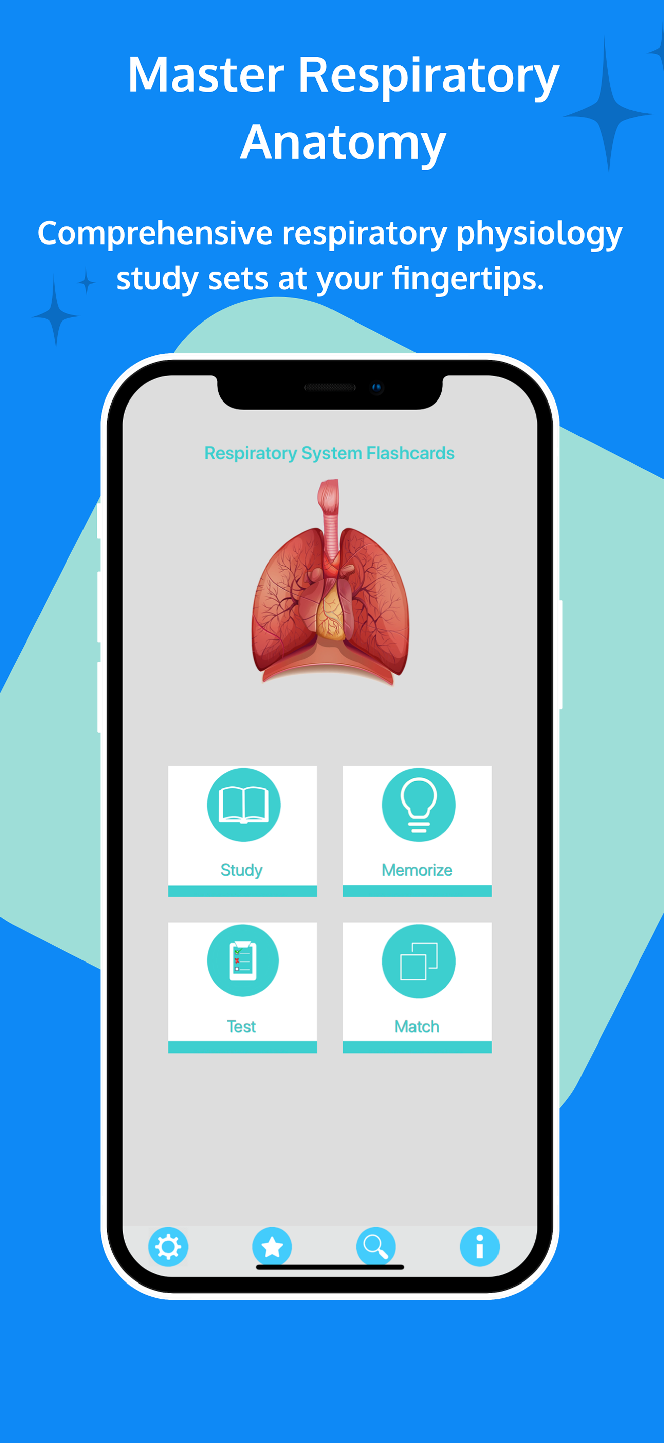 Respiratory System Flashcards