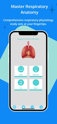Respiratory System Flashcards iPhone screenshot