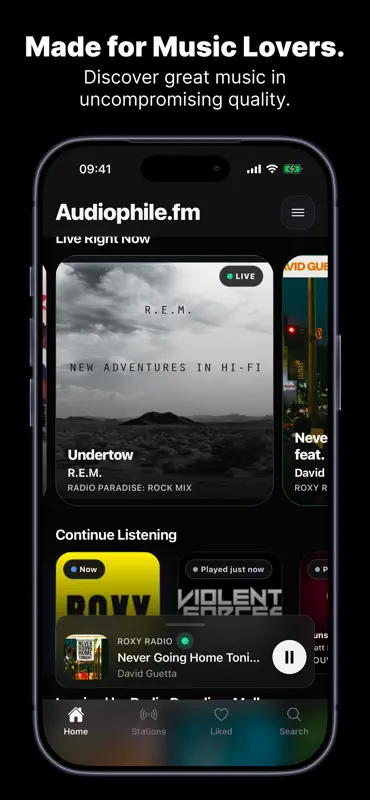 Audiophile.fm: HiFi Radio screenshot 1 of 6