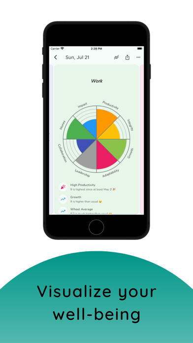 Wellness Wheel - Life Tracking Screenshot