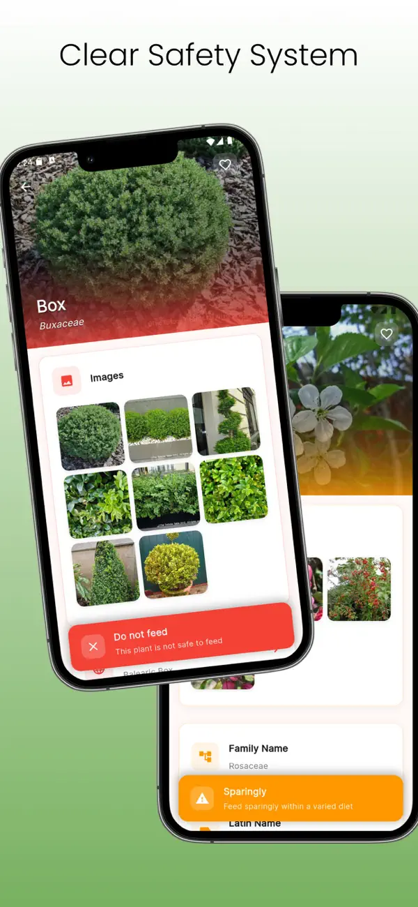 Screenshot #2 pour The Tortoise Table Plant DB