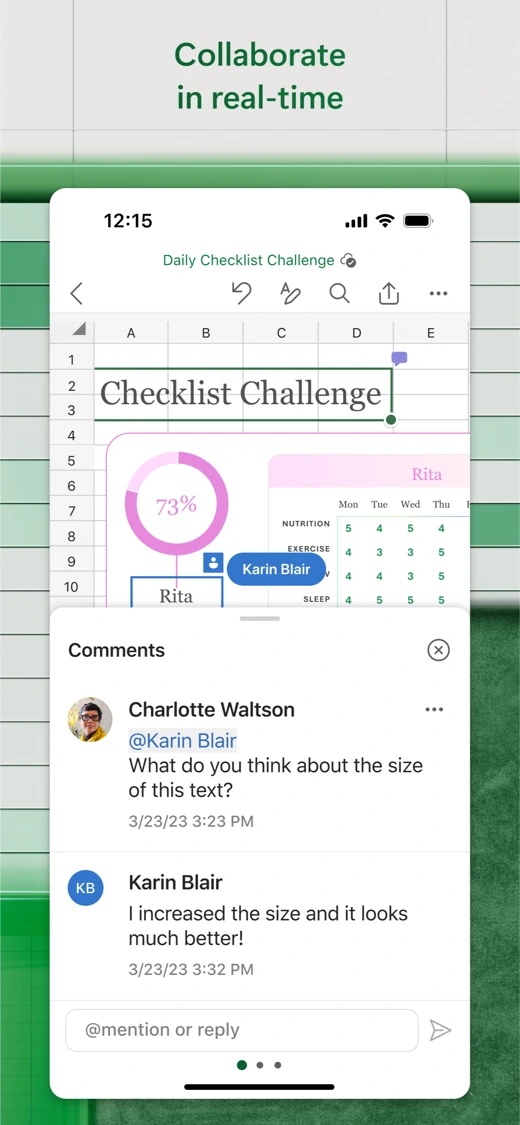 Microsoft Excel screenshot 6
