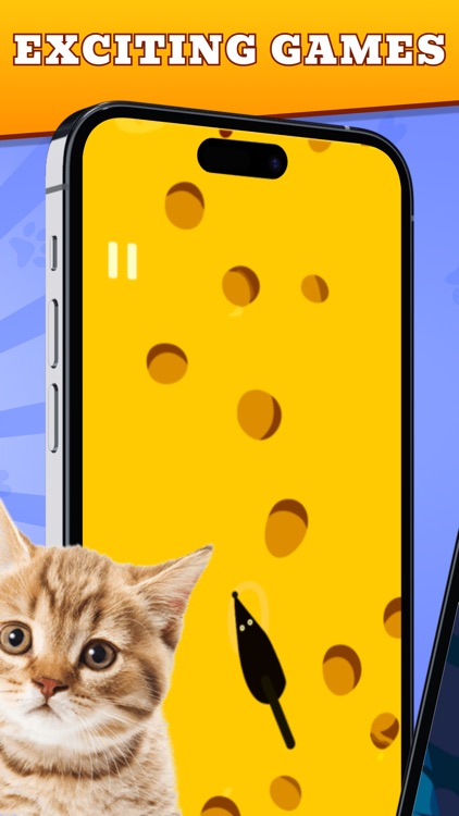 Cat Games — Cats and Pets