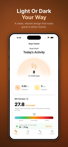 Stepora: Step Counter Screenshot 8 of 8