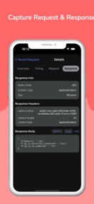 NetLens screenshot